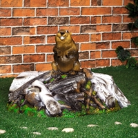 Крышка для септика Бобёр на запруде F07095 стеклопластик, ширина 92 см - фото 49671