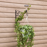 Кронштейн настенный для цветов с фонарем - фото 49768