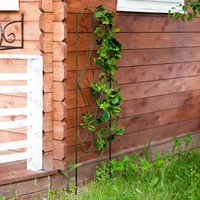 Шпалера с бабочками для вьющихся садовых растений 57-011 h=150 см - фото 49787