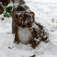 Медвежонок большой - фото 50155