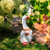 Утка красивая - фото 50164