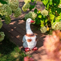 Утка красивая - фото 50165