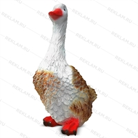 Утка красивая - фото 50168