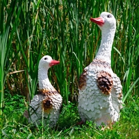 Утка красивая - фото 50169