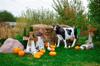 Мельница Италия U07528 - фото 50260