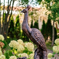 павлин из стеклопластика