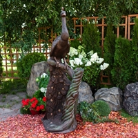 купить павлина