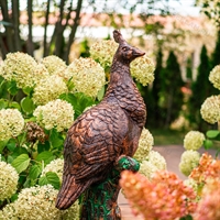 павлиниха из стеклопластика