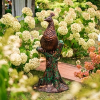 купить павлиниху