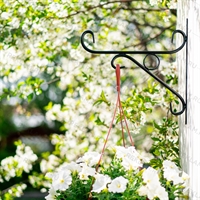 Кронштейн для кашпо с растениями - фото 50424