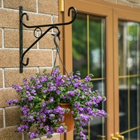 Кронштейн для кашпо с растениями - фото 50431