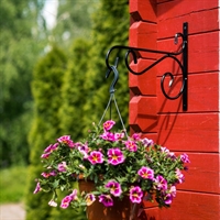 Кронштейн для цветов настенный 52-004 металлический - фото 50459