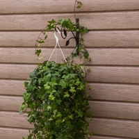 Кронштейн для цветов настенный металлический 52-049 - фото 50501