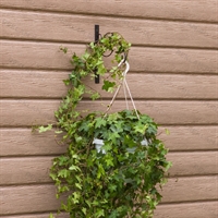 Кронштейн для цветов настенный 52-038 металлический - фото 50544