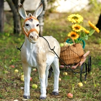 Декоративная садовая тележка F07038 - фото 50642