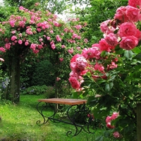 Лавка кованая для парка - фото 50806