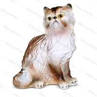 Персидская кошка - фото 50924