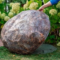 Крышка для септика Камень-валун низкий F03095 стеклопластик - фото 50927