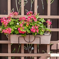 Кронштейн для балконных ящиков 51-027 металлический - фото 50979