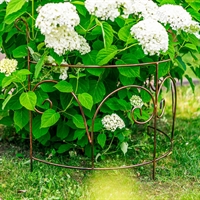 Шпалера секционная полукруглая для садовых цветов 57-094 металлическая - фото 51127