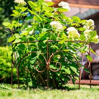 Шпалера секционная полукруглая для садовых цветов 57-094 металлическая - фото 51129