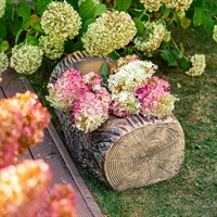 кашпо для растений