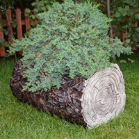 Кашпо декоративное бревно U07899 полистоун L=70 - фото 51170