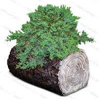 Кашпо декоративное бревно U07899 полистоун L=70 - фото 51174