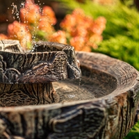 для парка и сквера