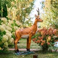 купить косулю