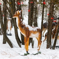 Декоративная фигура Косуля U08118 стеклопластик h=150 см - фото 51449