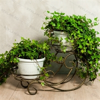 Стойка на 2 цветка 25-009 - фото 51497