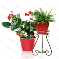 Кованая подставка для цветка 25-010 - фото 51512