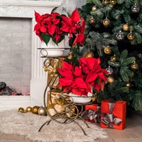 Стойка для цветов 25-011 - фото 51521