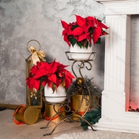 Стойка для цветов 25-011 - фото 51522