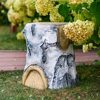 пень берёзовый