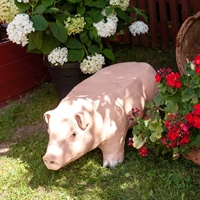 Лавка свинка - фото 51847