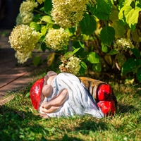 сказочный гном