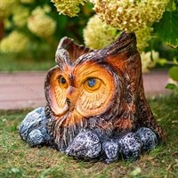 для растений