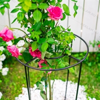 Опора круглая металлическая для пионов 57-904 h=50 см - фото 52185