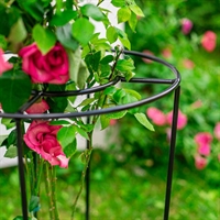 Опора круглая металлическая для пионов 57-904 h=50 см - фото 52186