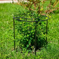 Опора круглая металлическая для пионов 57-904 h=50 см - фото 52187