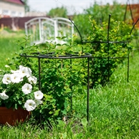 Опора круглая металлическая для пионов 57-904 h=50 см - фото 52188