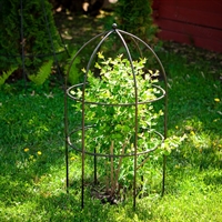 Опора для растений металлическая круглая 57-909 высота 83 см - фото 52212