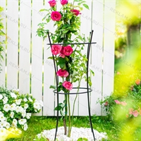 Опора для растений металлическая круглая  57-913 h=80 см - фото 52223