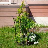 Опора для растений металлическая круглая  57-913 h=80 см - фото 52224