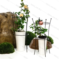 Опора для растений металлическая круглая  57-913 h=80 см - фото 52228