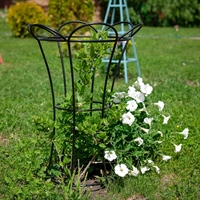 Опора круглая металлическая для растений 57-915 h=75 см - фото 52235