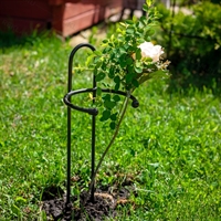 Опора для роз 57-927 металлическая высота 50 см - фото 52260