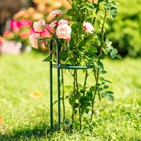 Опора для роз 57-927 металлическая высота 50 см - фото 52263